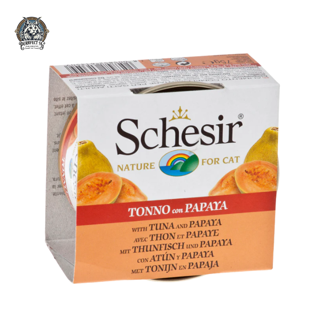 SCHESIR NATURE IN JELLY WITH FRUITS FOR CATS 75g