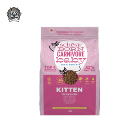 SCHESIR CAT BORN CARNIVORE