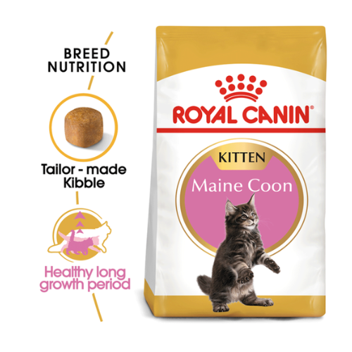 ROYAL CANIN FELINE BREED NUTRITION MAINE COON KITTEN 2KG Purrfect SG