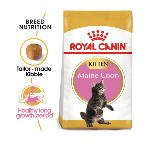 ROYAL CANIN - FELINE BREED NUTRITION (MAINE COON KITTEN) 4KG