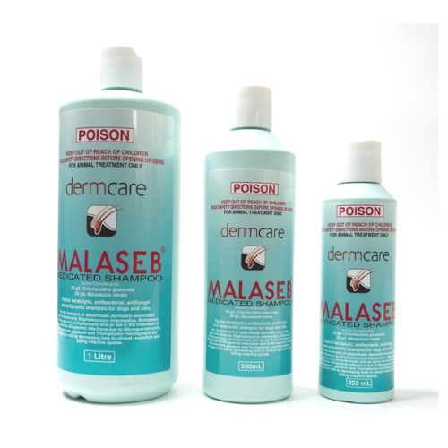 DERMCARE MALASEB MEDICATED SHAMPOO