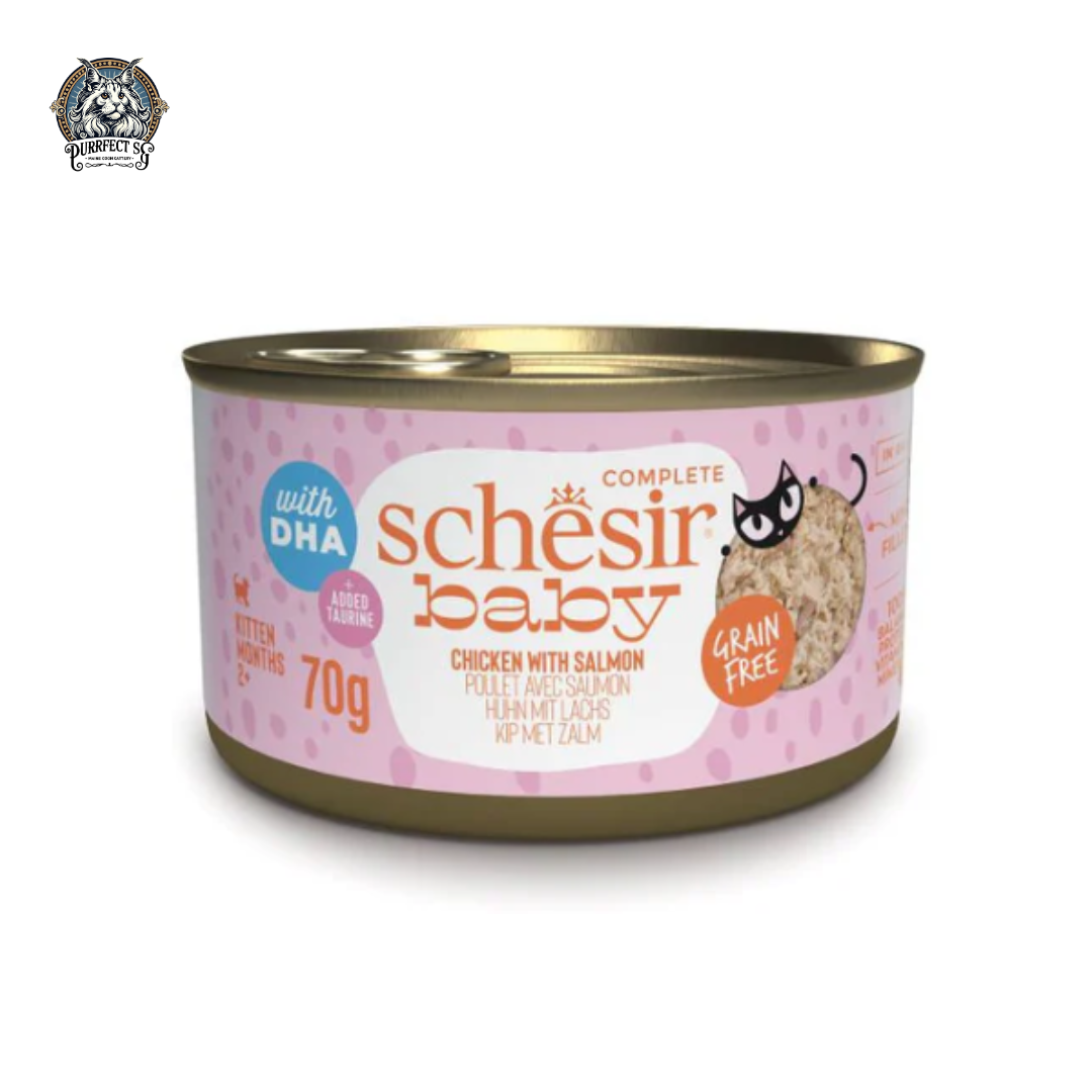 SCHESIR FOR CAT BABY IN CAN 70g