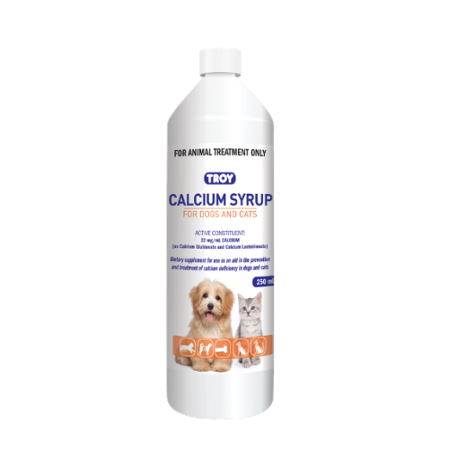 TROY CALCIUM SYRUP 250mL