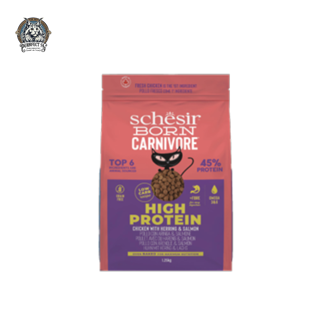 SCHESIR CAT BORN CARNIVORE