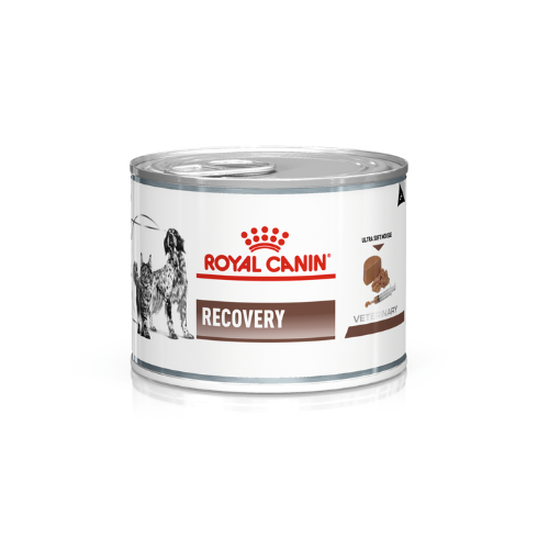 ROYAL CANIN - VETERINARY DIET RECOVERY WET FOOD 195g