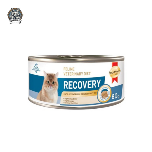 SMARTHEART CAT GOLD VETERINARY RECOVERY 80g