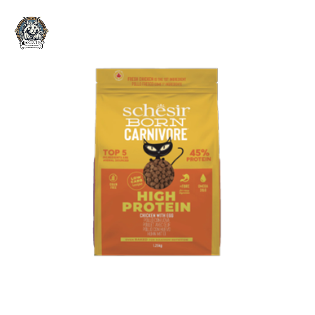 SCHESIR CAT BORN CARNIVORE